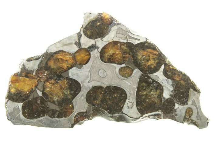 Brenham Pallasite Meteorite ( g) Slice - Kansas #263132